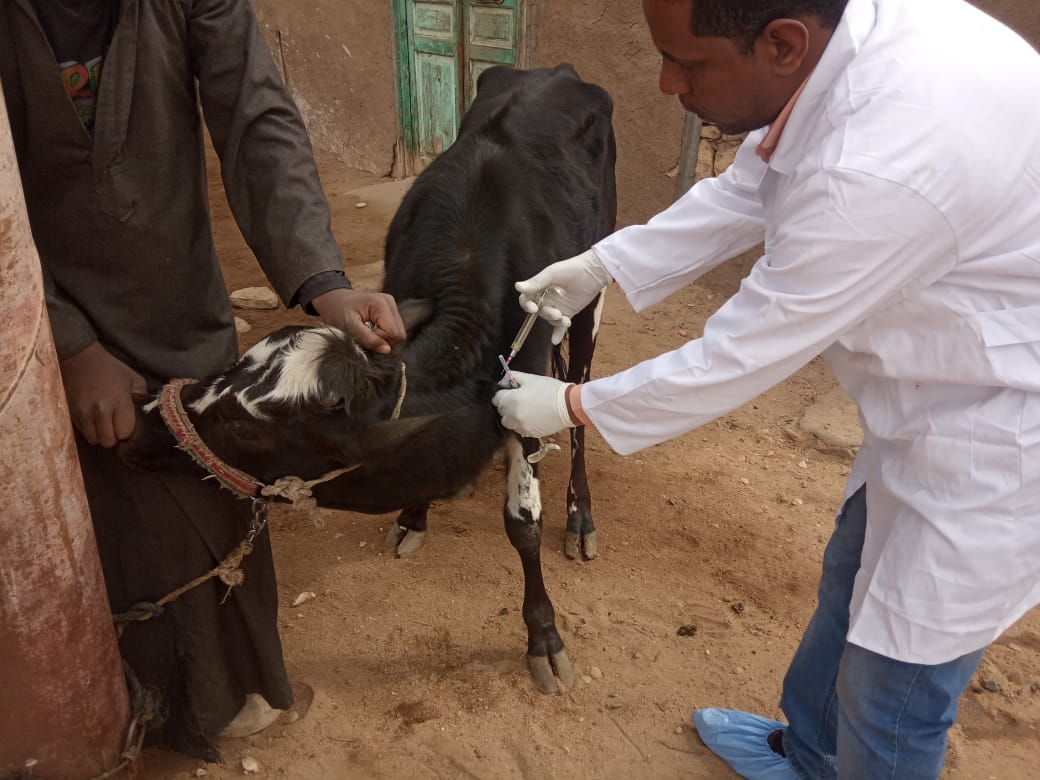 السيطرة على مرض الحمى القلاعية ومسح للأمراض الوبائية.. حصاد الهيئة العامة للخدمات البيطرية لعام 2019