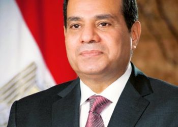 وزير الزراعة: توجيهات الرئيس السيسي بسرعة الانتهاء من مشروع الدلتا الجديدة