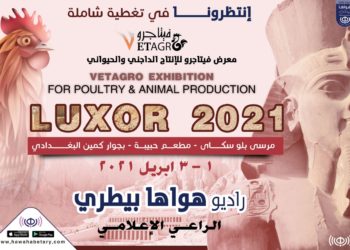 افتتاح الدورة الثالثة لمعرض «فيتاجرو الاقصر»2021