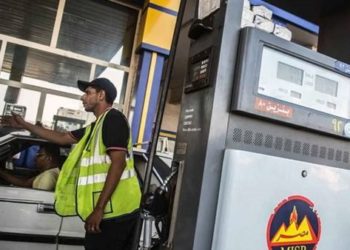 هل ترفع أسعار البنزين أسعار الدواجن ؟ .. ورئيس شعبة يرد