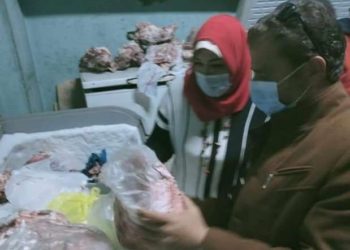 ضبط محل فراخ بالمنوفية يحقن الدواجن بالمياه ولحوم مذبوحة خارج المجازر