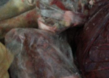 بيطري البحر الاحمر ضبط 97 كيلو لحوم غير صالحه للاستهلاك الادمي