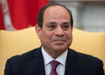 متابعات.. القصير : منذ تولي السيسي وإنجازات الدولة المصرية بمجال الزراعة لم تنتهي