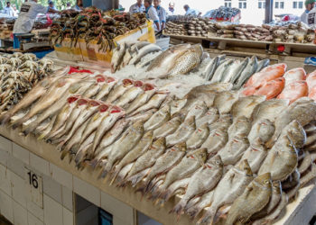 تعرف على أسعار السمك بسوق العبور