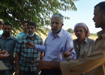 رئيس هيئة الثروة السمكية يقود حملة مكبرة لإزالة التعديات على أراضى الدولة