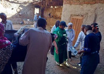 تناسليات الحيوانية ينظم ٦ قوافل بيطرية مجانية للقرى المتضررة من السيول في أسوان