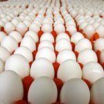 وزير التموين: يعلن استيراد 30 مليون بيض مائدة وصول أول شحناتها بمطار القاهرة الدولي
