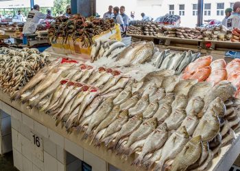 أسعار السمك اليوم في سوق العبور