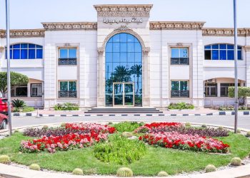 ميناء دمياط يستقبل 22700 طن ذرة