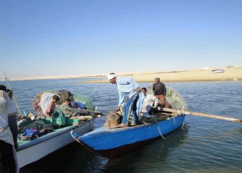 تسجيل صندوق تأمين العاملين بجهاز حماية البحيرات والثروة السمكية.