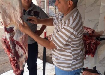 ضبط طن لحوم ودواجن غير صالحة وتحرير ٣٢ محضرا بالغربية