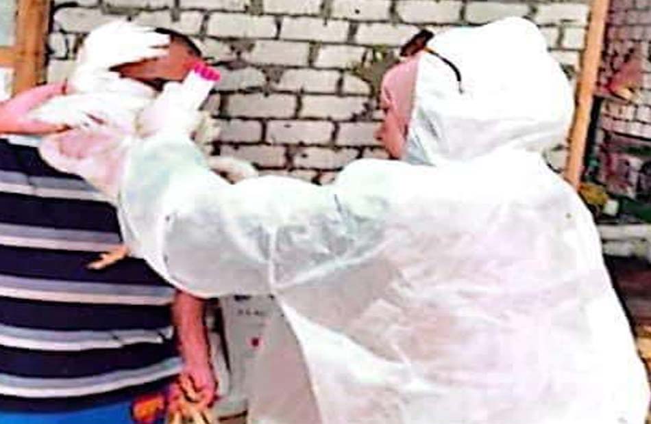 التقصي النشط لمرض إنفلونزا الطيور فى مسار الطيور المهاجرة