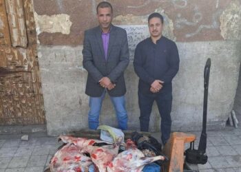 ضبط 100 كيلو لحوم مختومة بأختام مزورة في سوهاج