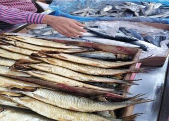 "التموين" و"البيطري" يدشنان حملات رقابية لضبط الأسواق بالبحيرة