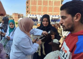 حملة بيطرية مجانية لفحص ورعاية المواشي في الشرقية