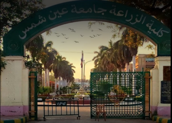 زراعة عين شمس