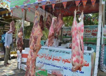 اللحم البلدي بـ150جنيه.. “الزراعة” تواصل ضخ المنتجات والسلع الغذائية بمنافذها بأسعار مخفضة