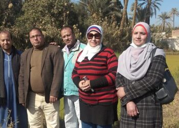 تقرير.. أول مشروع لزراعة نبات الأزولا بديل العلف بالفيوم