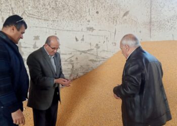 بالصور..التفتيش على مصانع أعلاف ومخازن خامات بالدقهلية