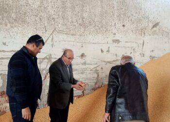 بالصور..التفتيش على مصانع أعلاف ومخازن خامات بالدقهلية