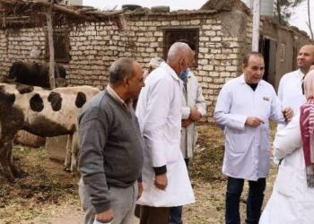 بيطري الشرقية.. يجري المسح الشامل لـ5 آلاف رأس ماشية