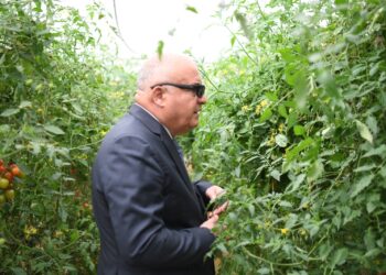 استصلاح 700 فدان لصالح مشروعات الأمن الغذائي في قنا