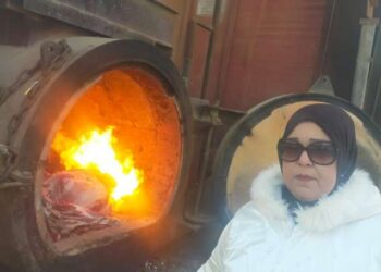 بيطري القاهرة: إعدام لحوم منتهية الصلاحية في محرقة المجزر الآلي