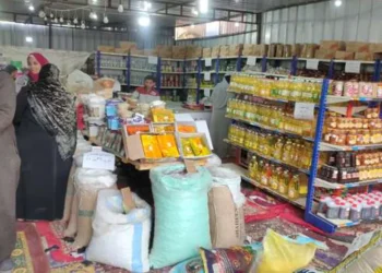 «النيل للمجمعات الاستهلاكية»: أجود أنواع اللحوم والدواجن المستوردة تأتي من البرازيل