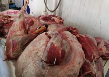 ضبط 10 جزارين يبيعون لحومًا غير صالحة في البحيرة