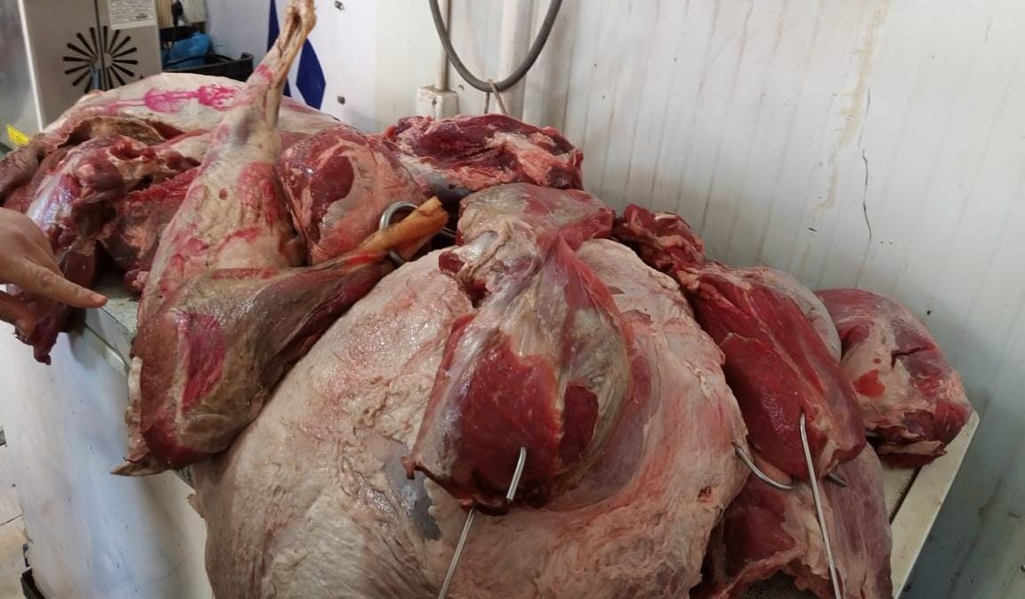 ضبط 10 جزارين يبيعون لحومًا غير صالحة في البحيرة
