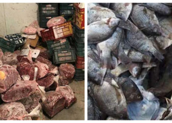 بيطري الغربية يصادر 79 كيلو لحوم ودواجن وأسماك غير صالحة
