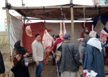 المنوفية: طرح لحوم بلدي طازجة بمنفذ مسجد السلام بسعر 170 جنيها