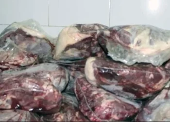 ضبط لحوم وأسماك غير صالحة للاستهلاك الآدمى