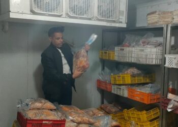 مصادرة 5 طن و250 كجم لحوم ومصنعات غير صالحة بالجيزة