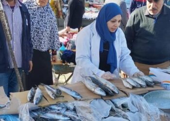 «بيطري الشرقية» يُشن حملة لضبط سوق اللحوم والدواجن والأسماك بالعاشر من رمضان