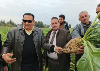 الزراعة تتابع تنفيذ الزراعات التعاقدية في دمياط