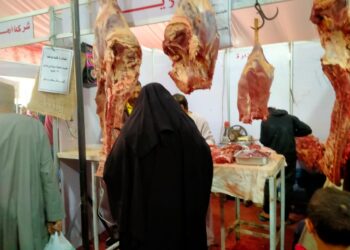 بيطري الجيزة يطلق حملة مكبرة للتأكد من جودة وصلاحية اللحوم بمعارض «أهلا رمضان»