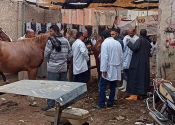  فحص وعلاج ٣٧٩رأس ماشية و ٣٠٤٠ طائر ختام القوافل العلاجية بالغربية