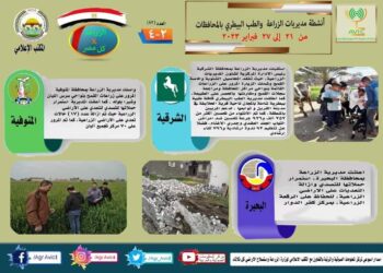 انفوجراف  “الزراعة في كل مصر” العدد رقم 82