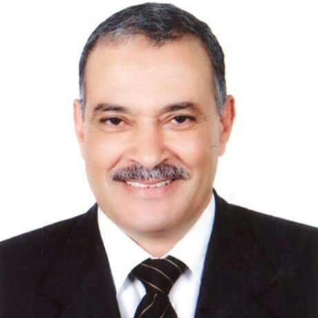 شعبة الدواجن: ضبط الأسعار لاب من خلال بورصة تحدد التكلفة الفعلية للمنتج