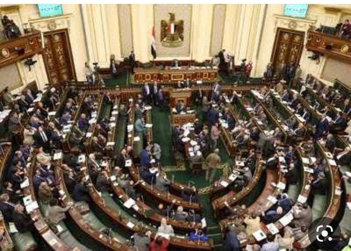 برلماني: استيراد الدواجن من الخارج قبل شهر رمضان يقضي على استغلال التجار