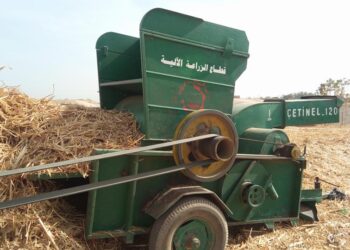 تدشين مبادرة لاستغلال "سفير القصب" كعلف للماشية فى الأقصر