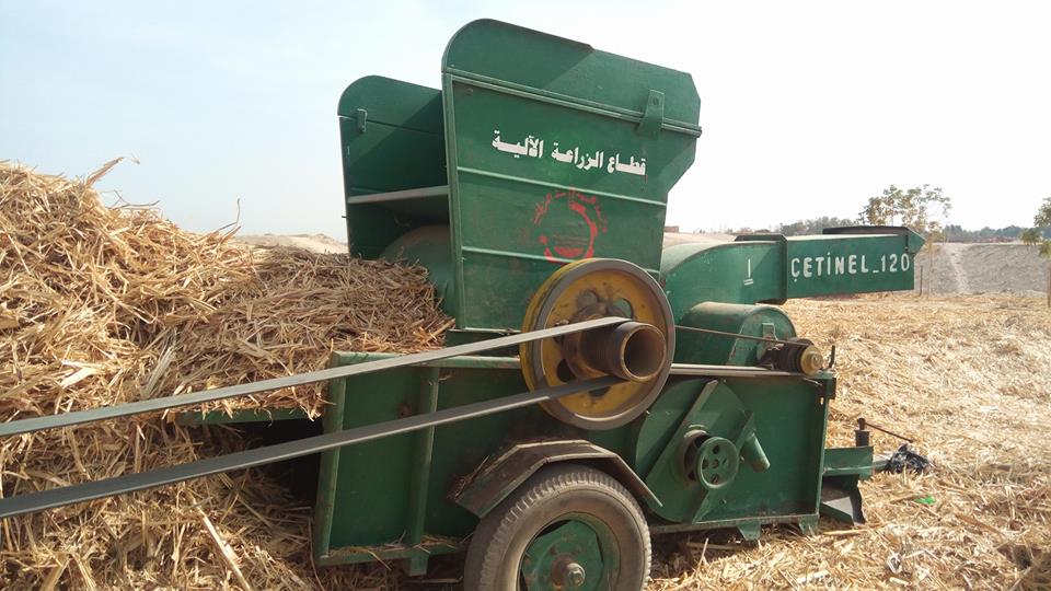 تدشين مبادرة لاستغلال "سفير القصب" كعلف للماشية فى الأقصر