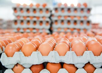 الكويت| تغريم 12 جمعية تعاونية لتحكمها في عرض وبيع البيض