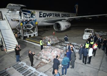 نحو 600 ألف طن.. "مصر للطيران" تنقل شحنات اللحوم المبردة من تشاد إلى القاهرة