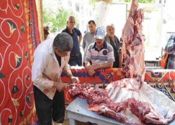 «التموين» تطرح 30 طن لحوم سودانية يوميا فى معارض أهلا رمضان