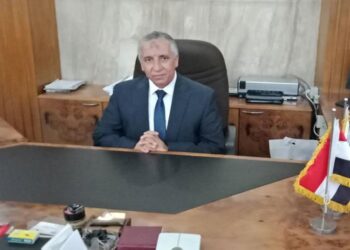 البحوث الزراعية: مصر تنتج أعلى الأصناف من الذرة وترتيبنا الـ4 عالميا