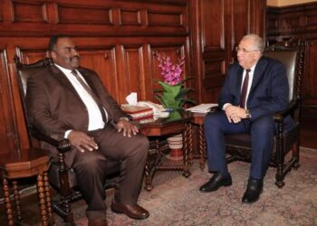 مصر تبحث تعزيز التعاون مع الولاية الشمالية بالسودان في مجال الثروة السمكية وصحة الحيوان