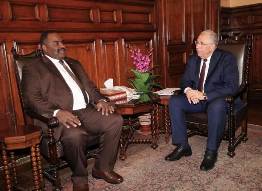 مصر تبحث تعزيز التعاون مع الولاية الشمالية بالسودان في مجال الثروة السمكية وصحة الحيوان