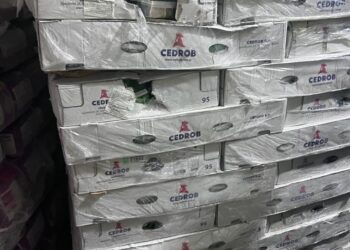ضبط طن و 350 كيلو دواجن مجمدة منتهية الصلاحية الغربية